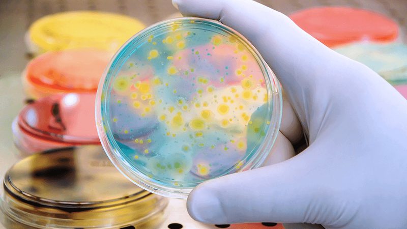 实验室生物试剂采购：如何规避潜在风险**