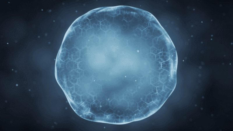 CRO优化服务与AB测试：揭秘两者在生物科技研究中的不同应用