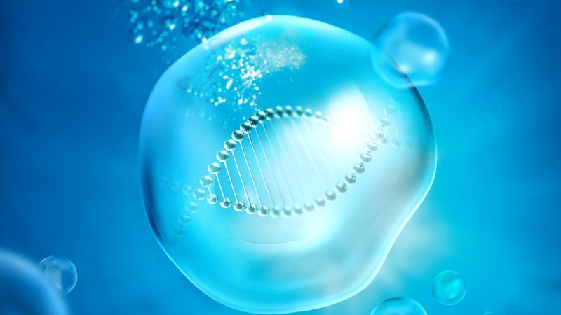 射频生物科技美容仪：正确使用步骤揭秘