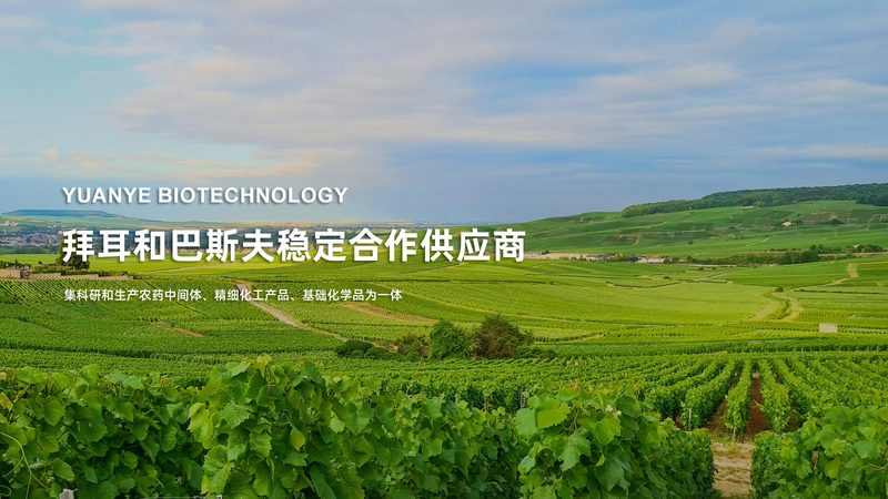 培养基规格型号参数：揭秘细胞培养中的关键要素**