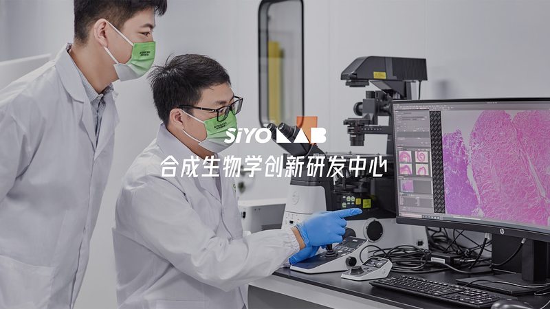细胞培养基的“秘境”：成分分类揭秘**