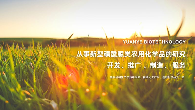 定制多克隆抗体，实验室选择有讲究**