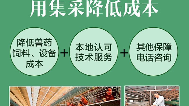 基因检测：如何选择北京优质服务提供商