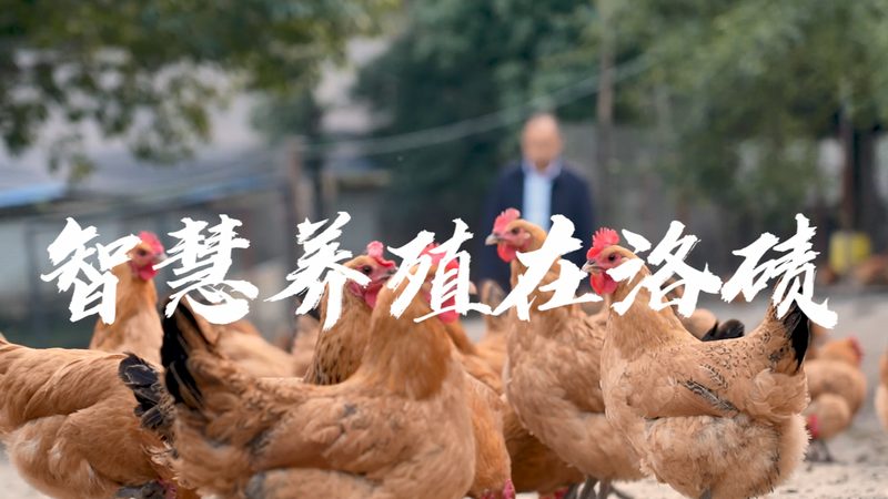 引物合成质量如何评估？揭秘优质引物合成的关键因素