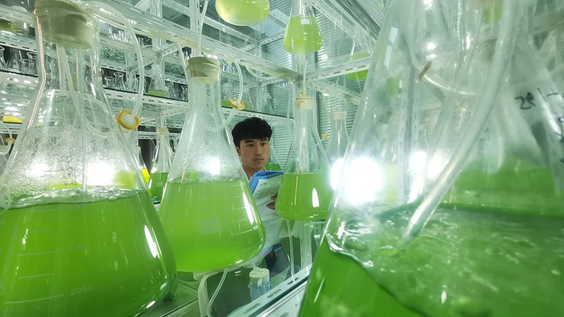 在加盟代理前，应对以下政策进行详细了解：